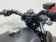 Mutt Akita AKITA 125 9