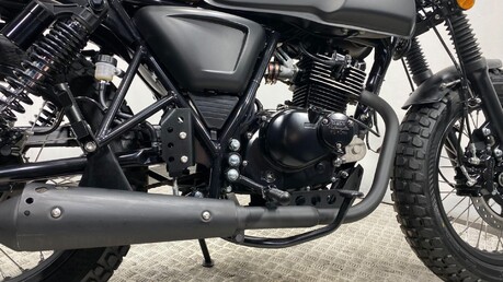 Mutt Akita AKITA 125 12