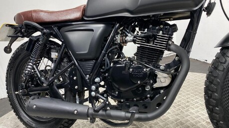 Mutt Akita AKITA 125 13