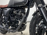 Mutt Akita AKITA 125 14