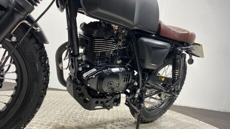 Mutt Akita AKITA 125 15