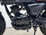 Mutt Akita AKITA 125 16
