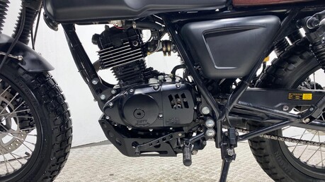 Mutt Akita AKITA 125 16