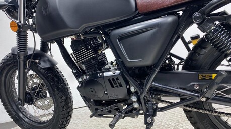 Mutt Akita AKITA 125 17