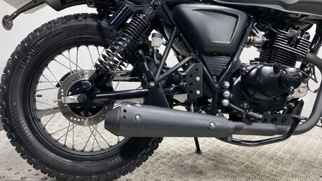 Mutt Akita AKITA 125 22