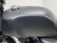 Mutt Akita AKITA 125 29