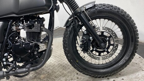 Mutt Akita AKITA 125 31
