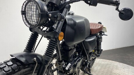 Mutt Akita AKITA 125 36