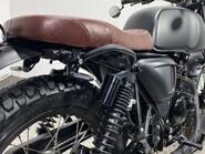 Mutt Akita AKITA 125 37