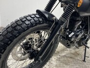 Mutt Akita AKITA 125 45