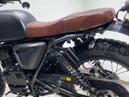 Mutt Akita AKITA 125 46