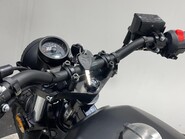 Mutt Akita AKITA 125 47