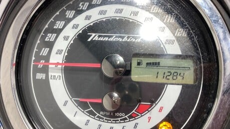 Triumph Thunderbird THUNDERBIRD 1600 11