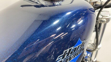 Harley-Davidson Sportster 1200 XL1200V Seventy-Two 26