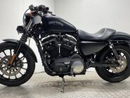 Harley-Davidson Sportster XL 883 N IRON 14 2