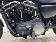 Harley-Davidson Sportster XL 883 N IRON 14 14