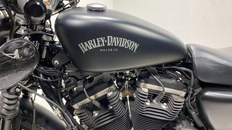 Harley-Davidson Sportster XL 883 N IRON 14 20