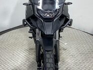 Mutt Stravaig 2