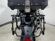 Mutt Stravaig 4