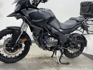 Mutt Stravaig 6