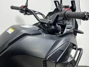 Mutt Stravaig 7