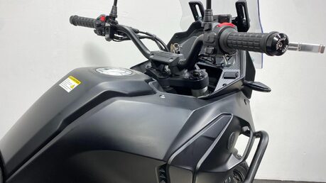 Mutt Stravaig 7