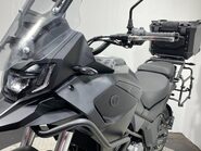 Mutt Stravaig 11