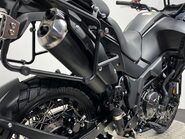 Mutt Stravaig 12