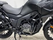 Mutt Stravaig 16