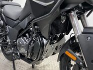 Mutt Stravaig 17