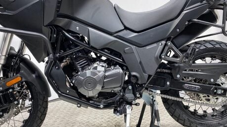 Mutt Stravaig 20