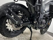 Mutt Stravaig 22