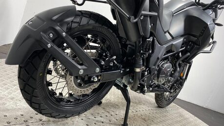 Mutt Stravaig 22