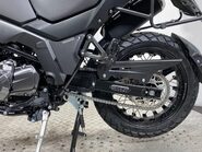 Mutt Stravaig 24