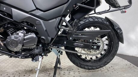 Mutt Stravaig 24