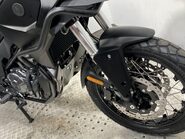 Mutt Stravaig 38