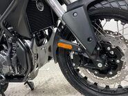 Mutt Stravaig 39