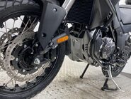 Mutt Stravaig 41