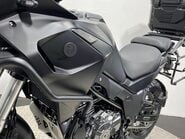 Mutt Stravaig 60