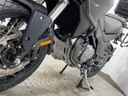 Mutt Stravaig 63