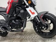 WK Bikes Maveric 125 Euro 5 11