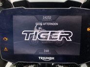 Triumph Tiger 900 TIGER 900 RALLY PRO 49