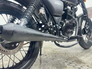 Mash Seventy 24