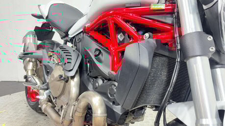 Ducati Monster 821 2015 2K LEO VINCE EXHAUST MEGA CLEAN NAKED 27