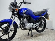 Yamaha YBR 125 2008 UNDER 5K VERY CLEAN 125CC COMMUTER BIKE 3