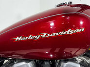 Harley-Davidson Sportster 883 2008 22K SERVICED VERY CLEAN WARRANTY MOT 883CC 13