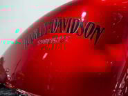 Harley-Davidson Sportster 883 2008 15K SHOW BIKE NEW MOT SERVICED CRUISER A2 22
