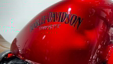 Harley-Davidson Sportster 883 2008 15K SHOW BIKE NEW MOT SERVICED CRUISER A2 22