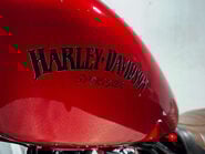 Harley-Davidson Sportster 883 2008 15K SHOW BIKE NEW MOT SERVICED CRUISER A2 37
