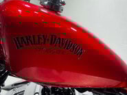Harley-Davidson Sportster 883 2008 15K SHOW BIKE NEW MOT SERVICED CRUISER A2 36